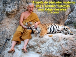 Os tigre e o budismo